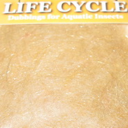 ������� life cycle dub NYMPH tan Wapsi